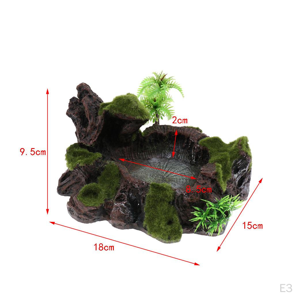 Plant Moss Decorative Resin Roack Bowl Dish Feeder Plate for Terrarium Reptile Tanks