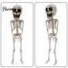 Halloween Party Supplies Posable Skeleton Decoration, 41 Inch Full Body Hanging Human with Movable Joint for Joints Yard Garden Porch Lawn Haunted