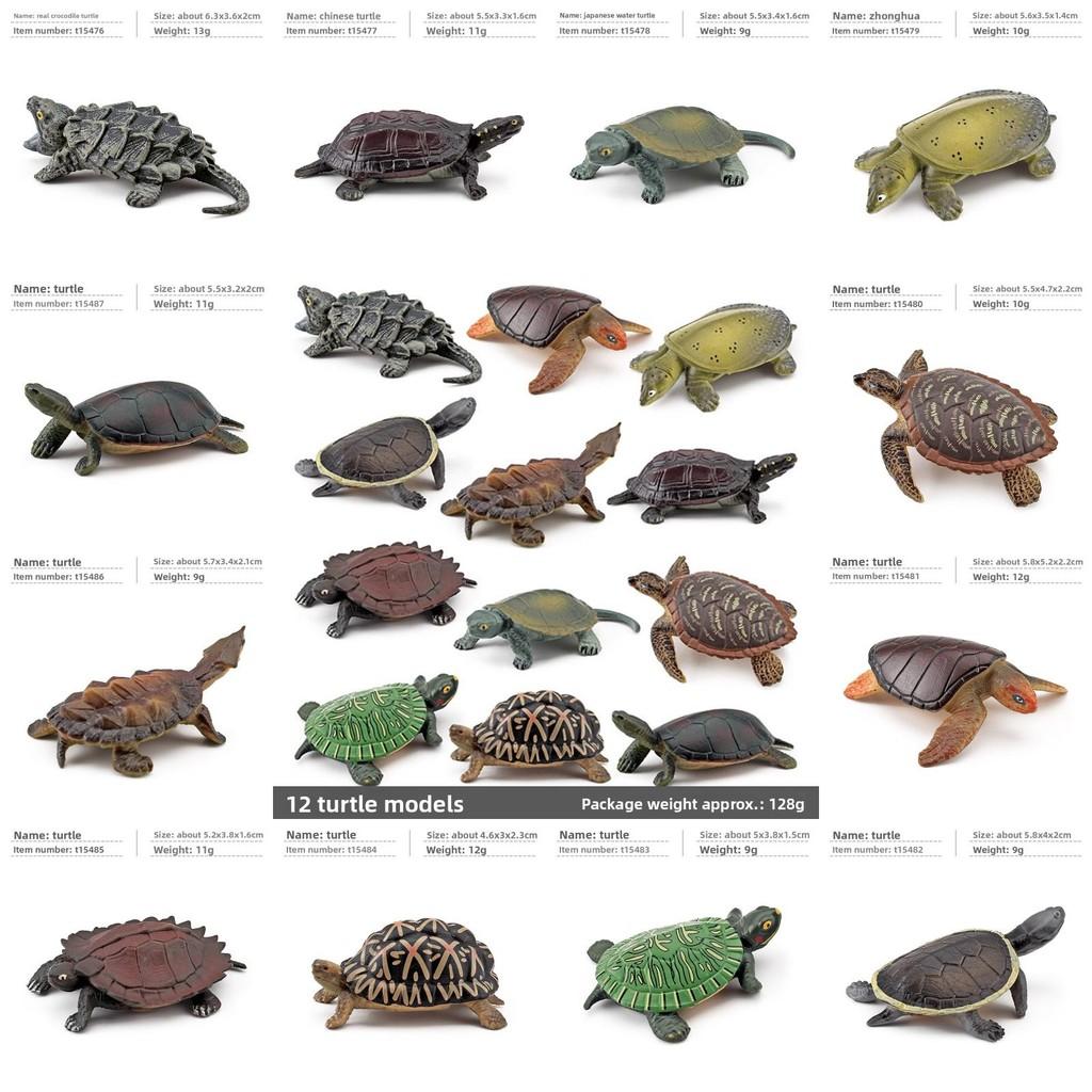 Aquatic Reptile Tortoise Pvc Model Set With Realistic Detailing For Educational Collection