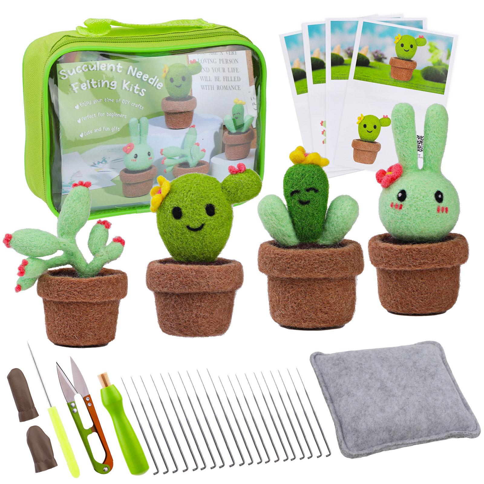 Needle Felting Starter Kits with Tool and Instruction, Wool Felting Potted Plant Craft Supplies for Beginners DIY Craft 1