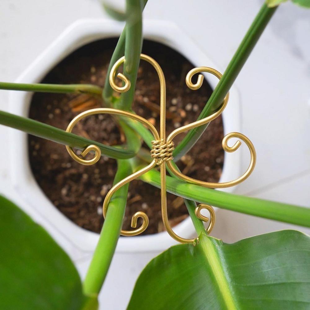 Iron Climbing Houseplant Stem Supports Heart Shape Garden Trellis  Plants Growth Accessories