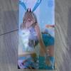 Bunny Girl Power Figure Box Damage