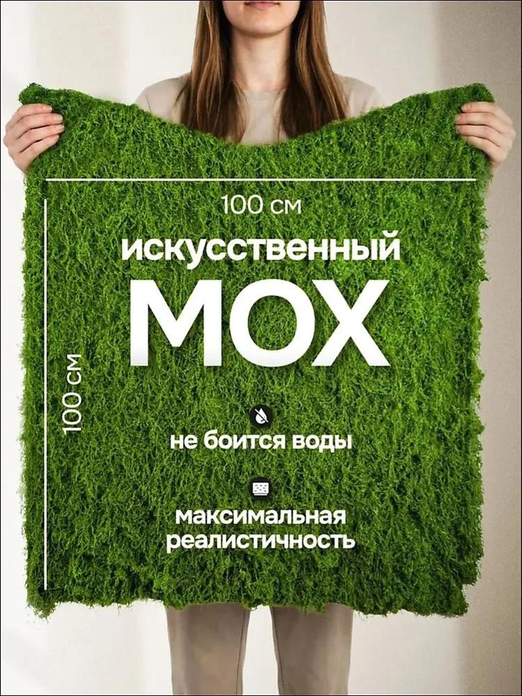 Stabilized moss 400 g 1 pc green