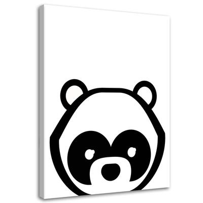 Plátno, Kontrastní panda