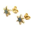 Les Trésors De Lily [N7128] - Pozlacené tyrkysové náušnice 'Hvězdy' - 7 mm
