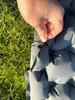 Inflatable Camping Mattress Pull-Strap Pad for Outdoor Tents and Car Sleepovers