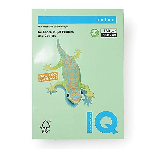 

Bio Top Color Medium Green A3/160g 250P