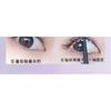 LuxeFlutter - Glue-free False Eyelashes Clusters