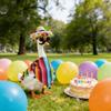 Accesorii de petrecere – Accesorii pentru ceremonii și petreceri