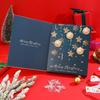 2025 Advent Jewelry Gift Box: Countdown Calendar with Earrings, Necklace, and Bracelet for Women