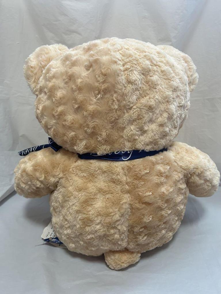 [USED] Lovely Rose Bear My Teddy Teddy Bear Plush Toy