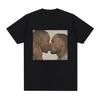 Funny Two Men Kissing Meme Tshirt Womens Fashion Hip Hop Retro Tshirt Casual Loose Short Sleeve Tshirt Top