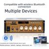 Dual-Channel Bluetooth Amplifier with USB Radio & Wireless Remote
