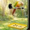 Interactive Parrot Standing Bar Chain Durable Budgie Hanging Swing Toy Bird Cage Toy Parakeet