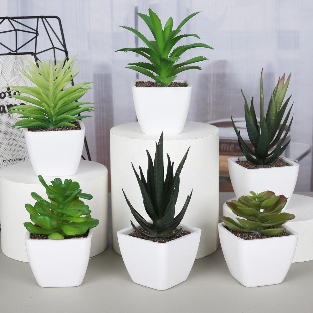 Mini Artificial Aloe Plants Bonsai Immortal Finger Gemstone Flower Pot Plants Fake Flowers Office Table Potted Ornaments Decor