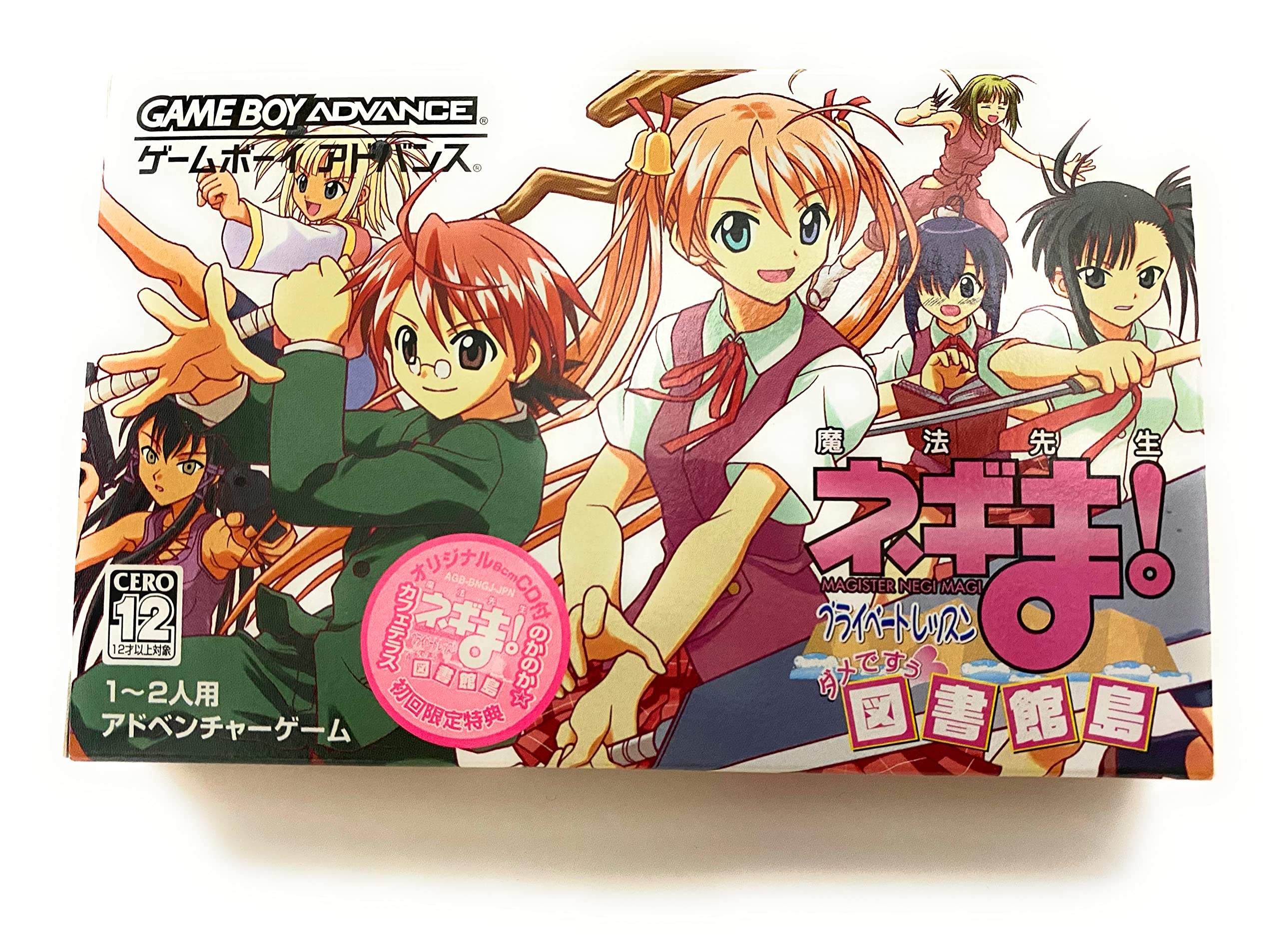 

Magical Teacher Private Lesson No Good Library Island Negima!