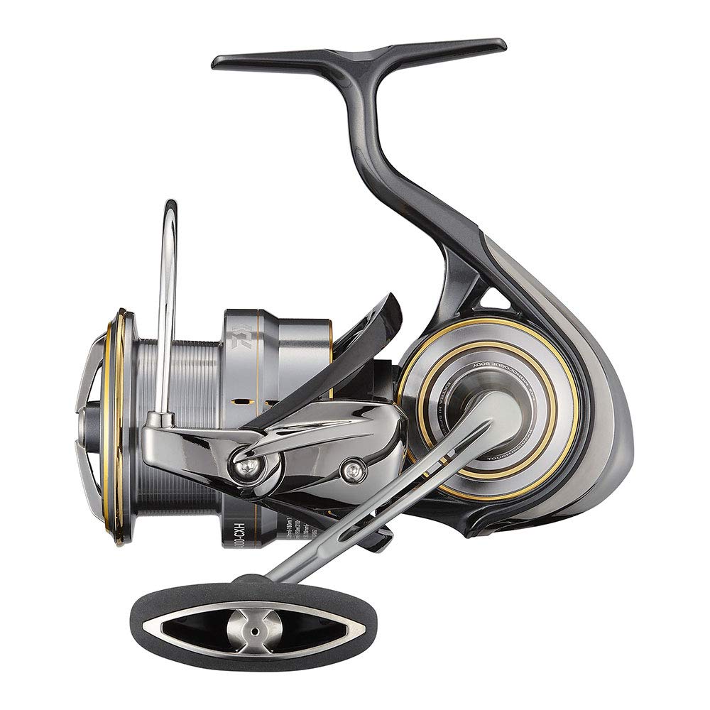 Daiwa 21 Rubias Airity LT4000-CXH