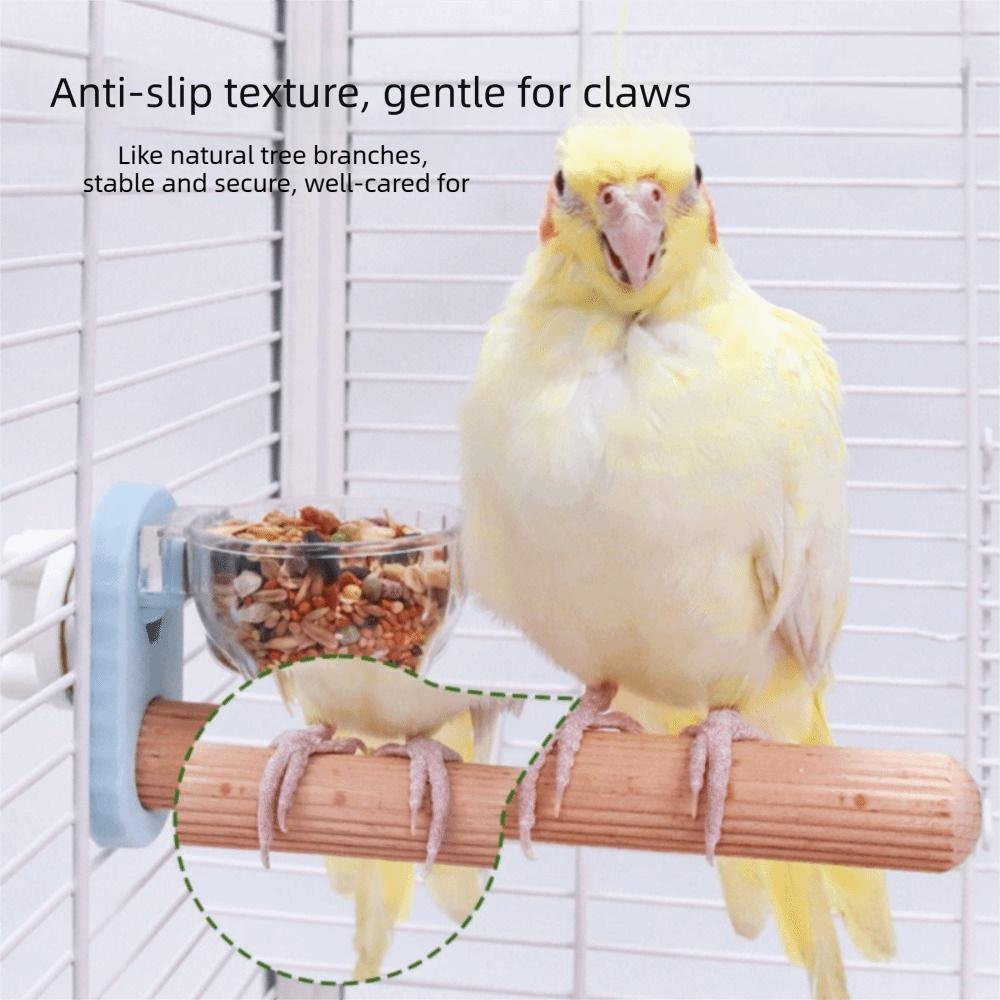 with Feeder Parrot Stand Wooden Wooden Parrot Perch Pet Bird Bird Platform for Medium Sized Birds