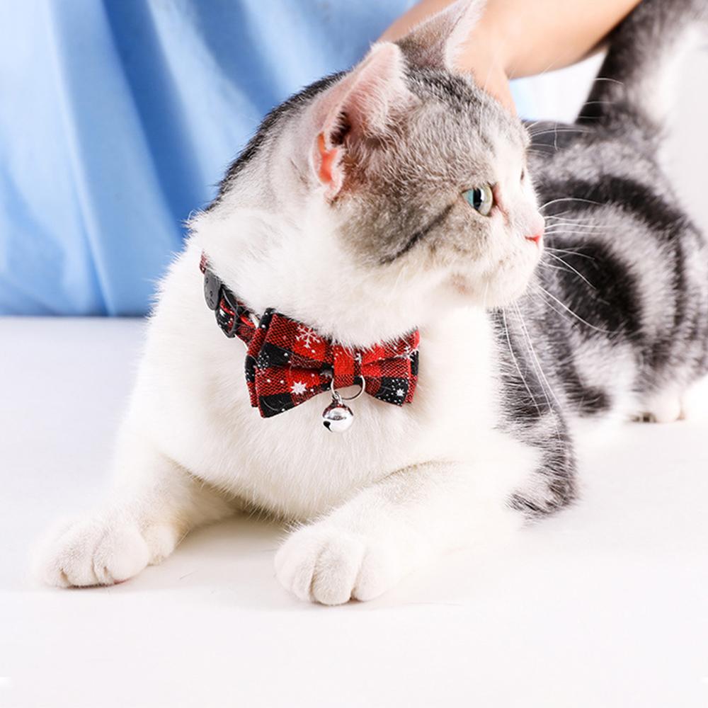 cat neck bell