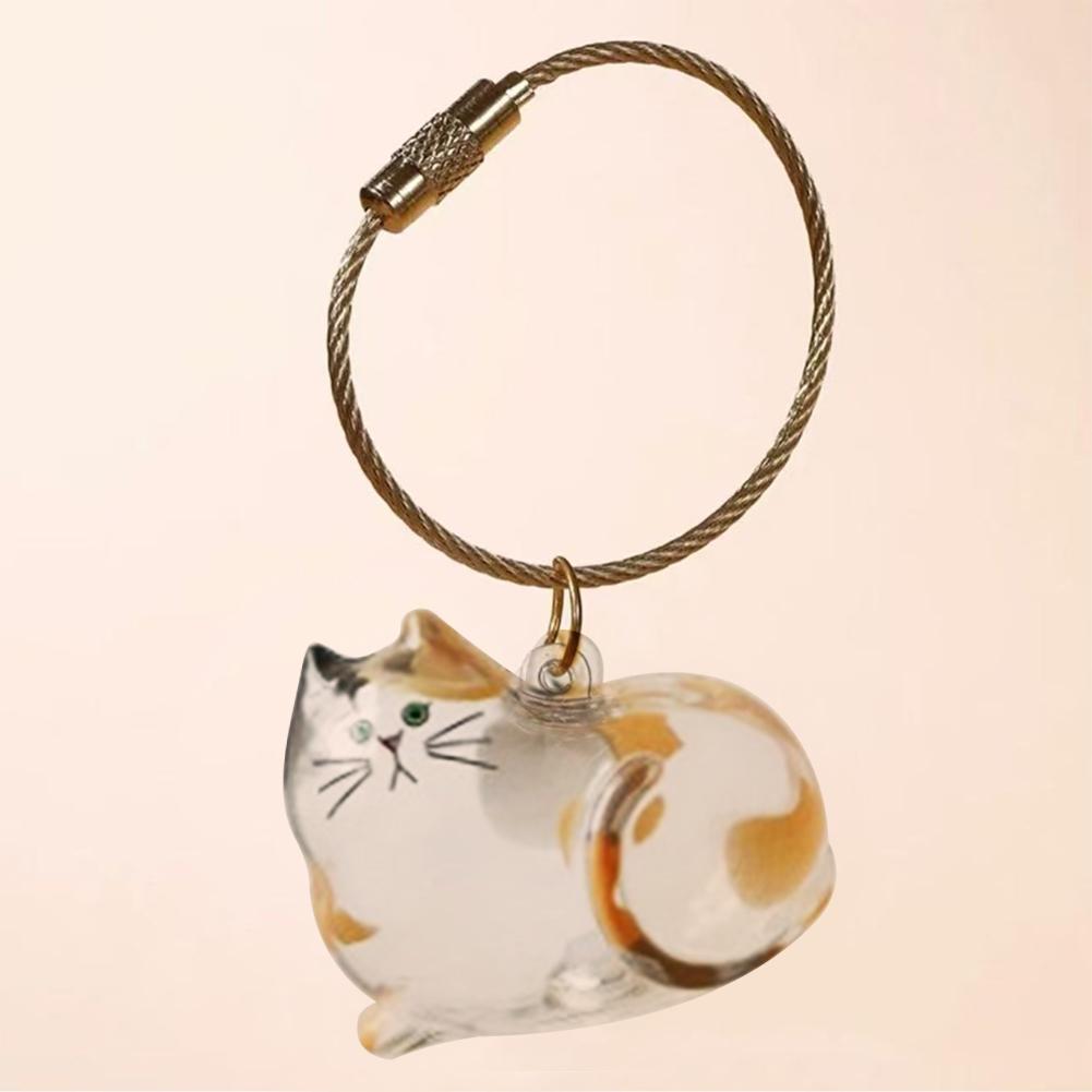 1/6pcs Kawaii Cat Hair Storage Box Transparent Pet Hair Keepsake Pendant for Pet Memorial Healing Pendant Cat Lover Keyring Accessory