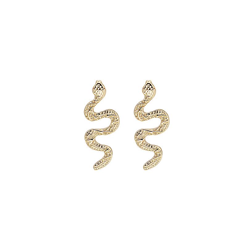 "Retro Snake-Shaped Earrings: European & American Hip-Hop Style"