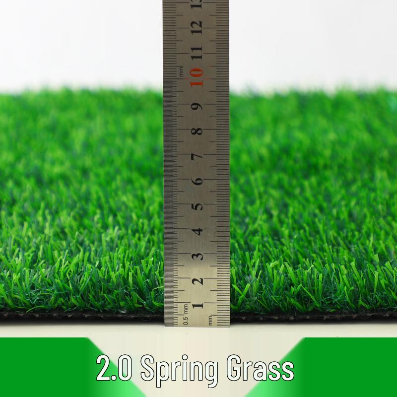 ZISIZ Artificial Grass Turf Carpet