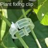 Clips de Suporte para Plantas por Atacado Reutilizáveis de Plástico para Proteção de Trepadeiras de Plantas Ferramentas de Fixação para Enxertia para Legumes Tomate Suprimentos de Jardim