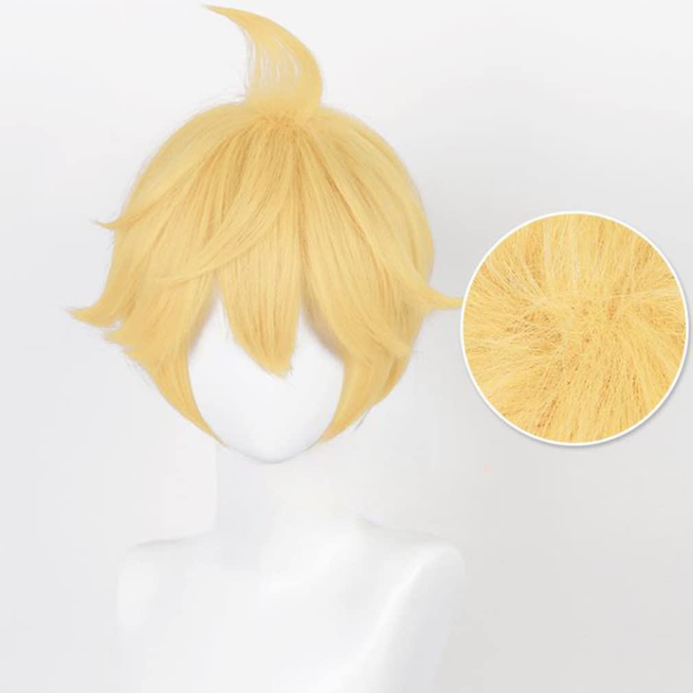 LAOBAO Cosplay Wig, Blonde Ponytail, Lolita, Harajuku Style, GAL Style, Hairpiece, Twintails, Heat Resistant, Disguise Wig, Costume Accessory, Party,