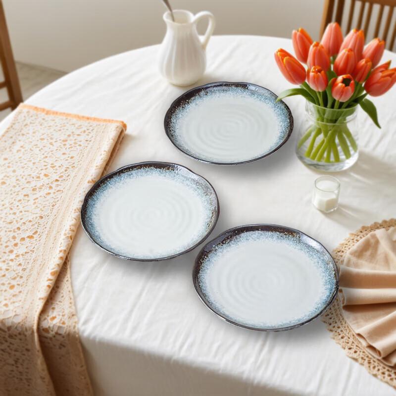 Mino Yaki Japanese Ceramic Underglaze Flat Dinner Plate Set 6.5 Inch