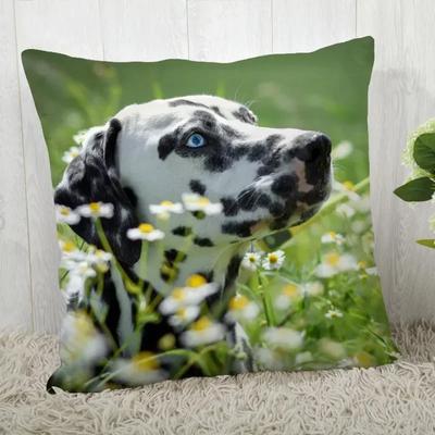 Pillowcase Dalmatians  Modern Home Living Room Decoration
