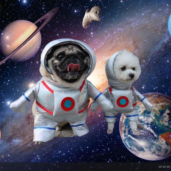 Abbigliamento per Animali Stile Astronauta Cappello Completamente Avvolgente Traspirante Cani Gatti Esplorazione Spaziale Costume Avventura per Festa