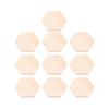 10Pcs Special-Shaped Wood Plank Polygonal DIY Craft Blocks High Quality Pine Wooden for Art Projects Decor Gifts Size 2