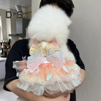 Hundekleid mit Schmetterlingen im Prinzessinnenstil, bunte Flügel, flauschiges Tutu-Kleid, leuchtende Farbe, Spitzenstoff, Haustier-Hundekleid