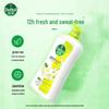 Dettol Jasmine Green Tea Healthy Shower Gel