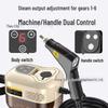 3.5BAR Dual Control Digital Display Steam Cleaner - High Temperature & Pressure for Efficient Cleaning