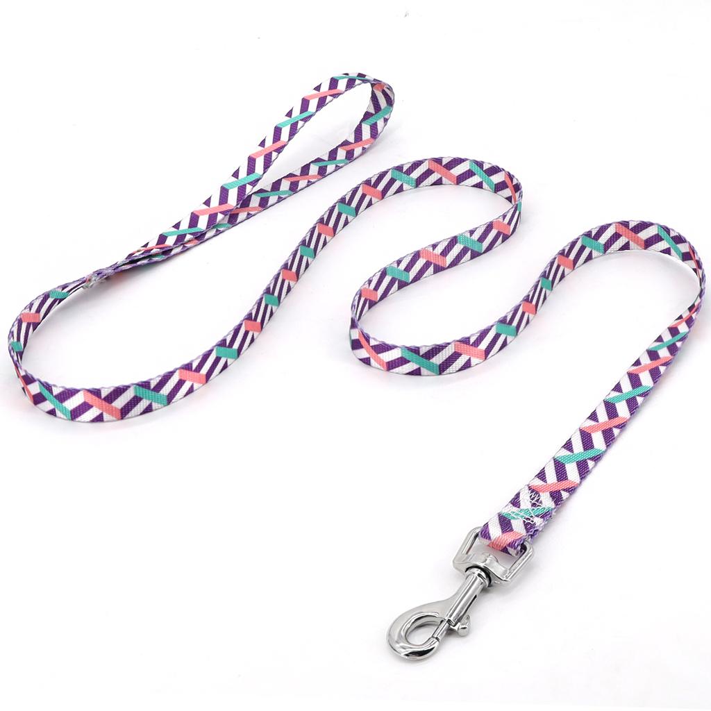 A Pet Leash Cartoon Print Colorful Braided Leash Outdoor Dog Walking Rope