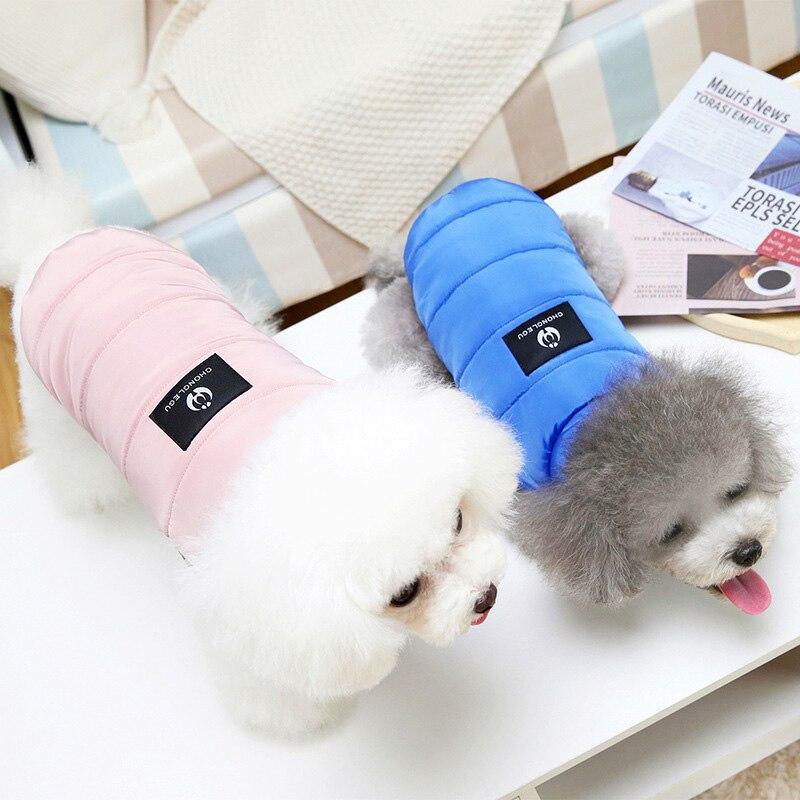 dog jackets for winter
