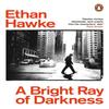 A Bright Ray of Darkness by Ethan Hawke Paperback Book 9781529156409