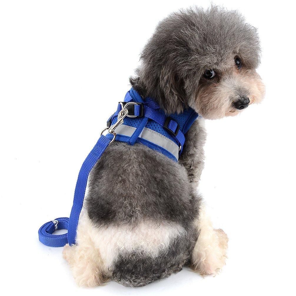 RANPHY Mesh Dog Harness with Reflective Leash Set for Extra and Perfect for and and Available in 4 Colors Small, Small, Puppies, Walks, Training,