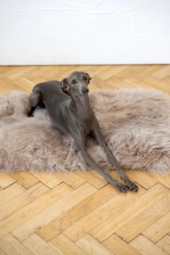Square or Rectangular Natural Sheepskin Pet Mat - Greige Rectangle 70 x 100 cm