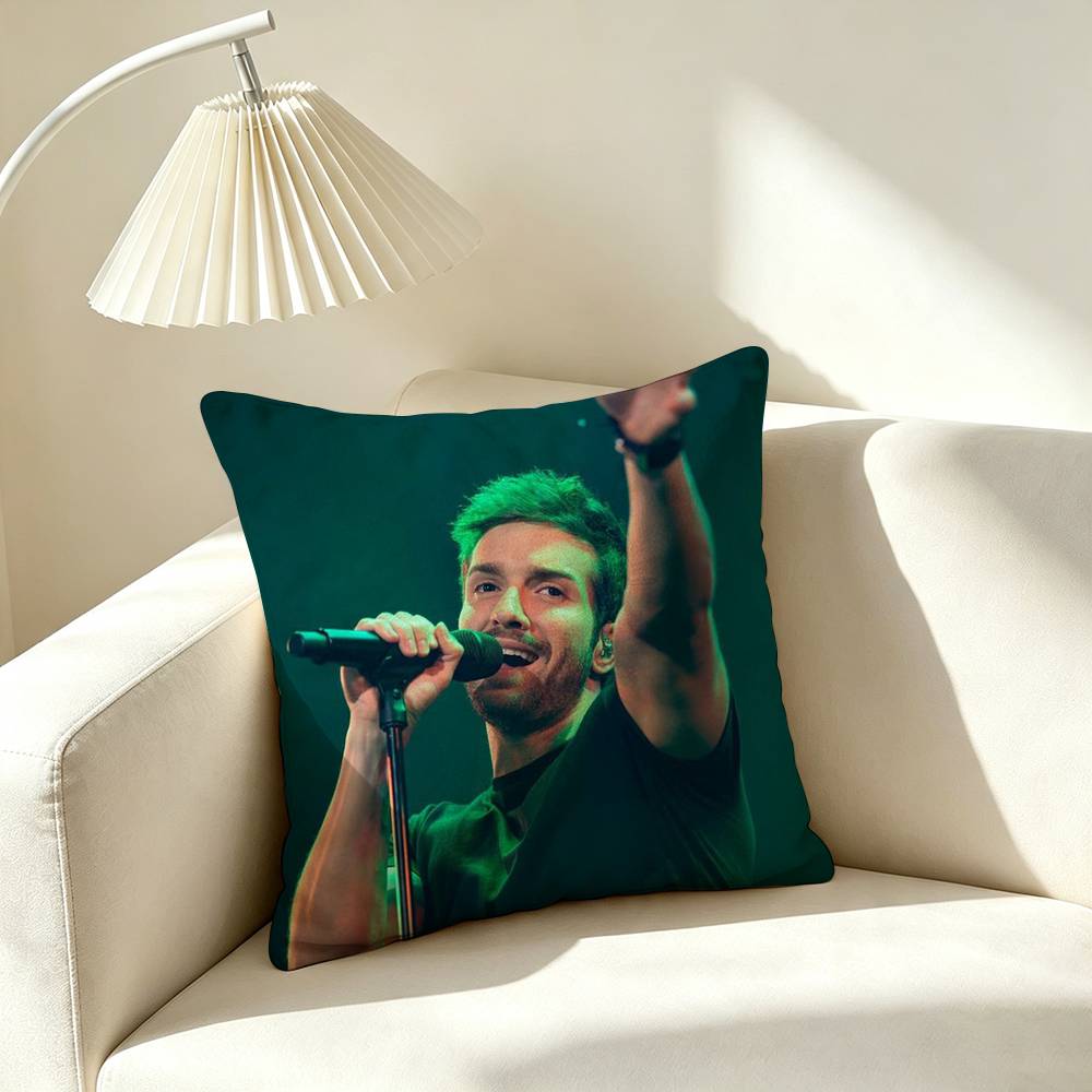 P-Pablo Alboran Pop Singer Square Double-Sided printed Pillow Case Bedroom Bedside Pillow Sofa Cushion Cover