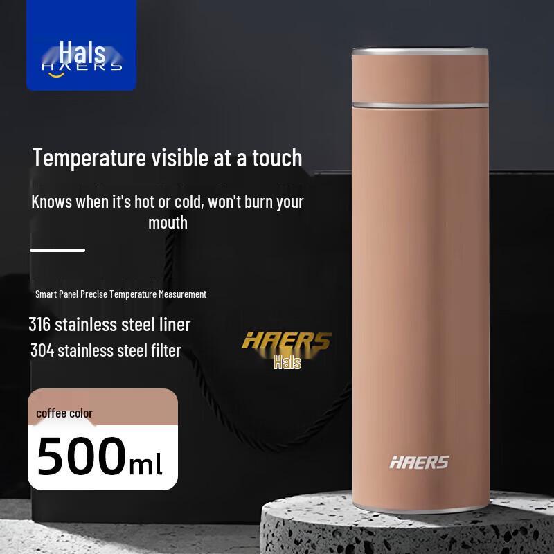 

HAERS Smart Temperature Display Stainless Steel Tea Infuser Bottle