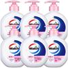 Healthy Antibacterial Hand Wash (6-Pack)