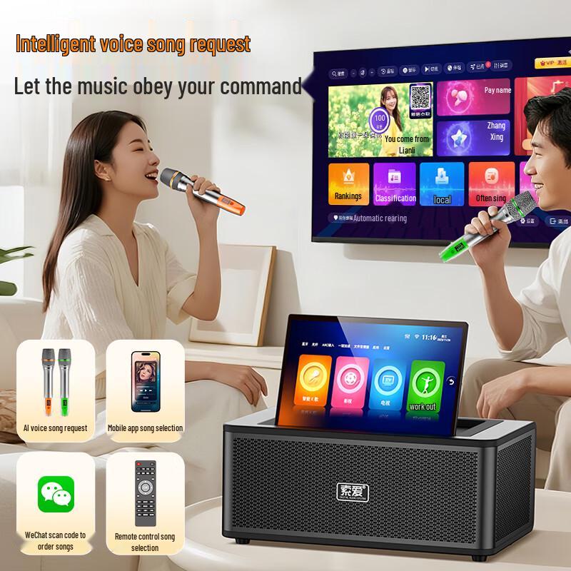 Soaiy SA-K2501 Home KTV Audio System with Microphone CN Plug (adapter Included)