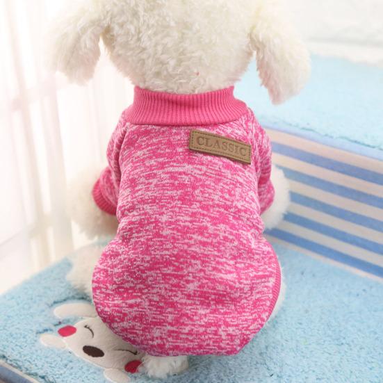 dogs woolen clothes