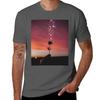 Rose At Sunset T-Shirt Quick-drying Plain Designer T Shirt Men