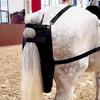 Reusable Design Horse Poop Catcher Oxford Fabric Equine Manure Bag Horse Manure Bag  Garden Use