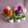 Handmade Crocheted Tulip Potted Plant Ornament - Ideal for Desktops, Cars, and Teacher's Day Gifts