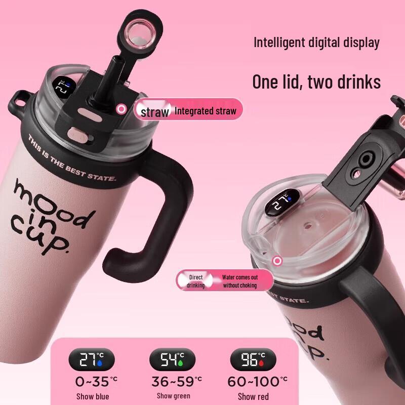 RELEA 316L Stainless Steel Insulated Mug with Handle