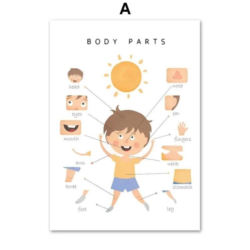 Nordic Canvas Wall Art Body Parts Moon Phases Solar System  Fruit  Kids Room Decor Posters  Prints for Home Decor